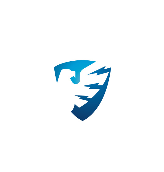 SBS power solutions